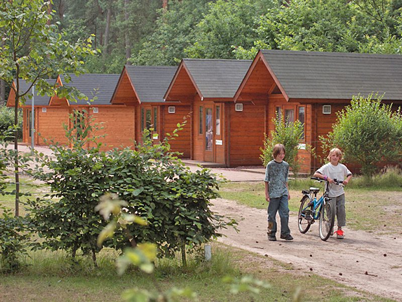 lilse bergen