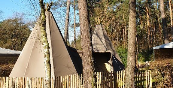 tipi's
